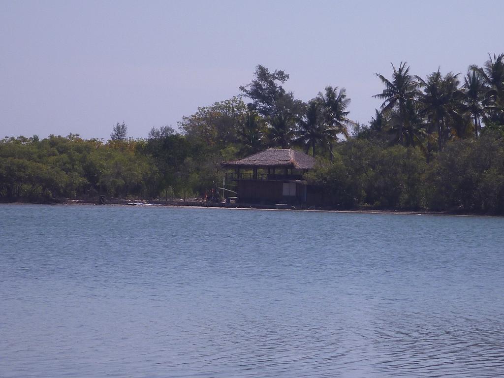 Rose Bungalow Ξενοδοχείο Pemenang Εξωτερικό φωτογραφία