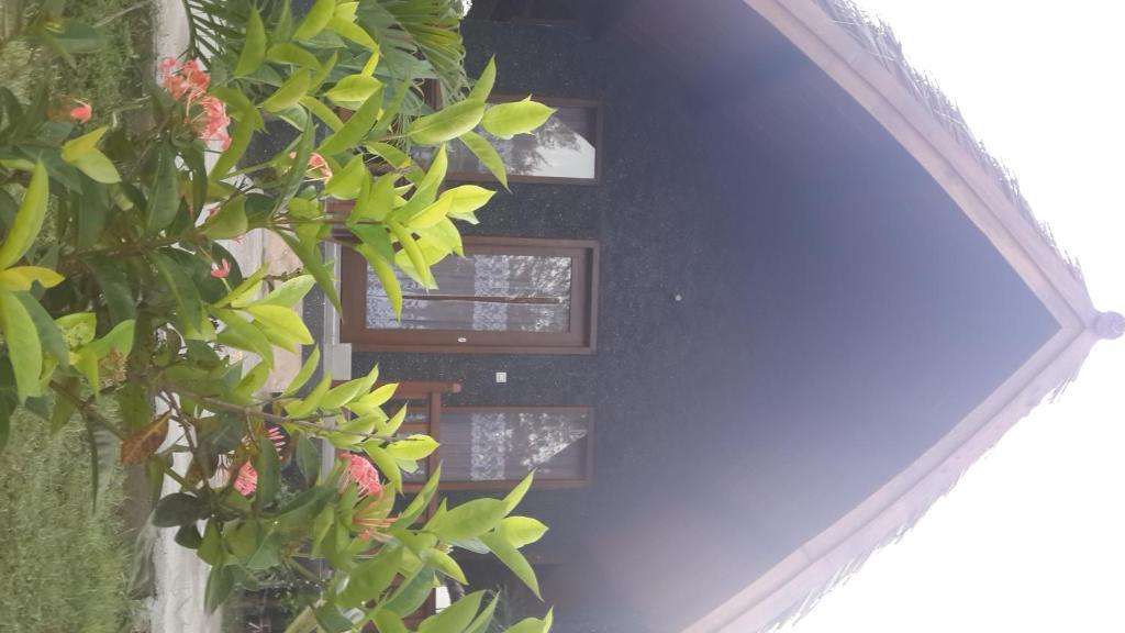 Rose Bungalow Ξενοδοχείο Pemenang Εξωτερικό φωτογραφία